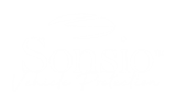 Sonsio Vehicle Protection