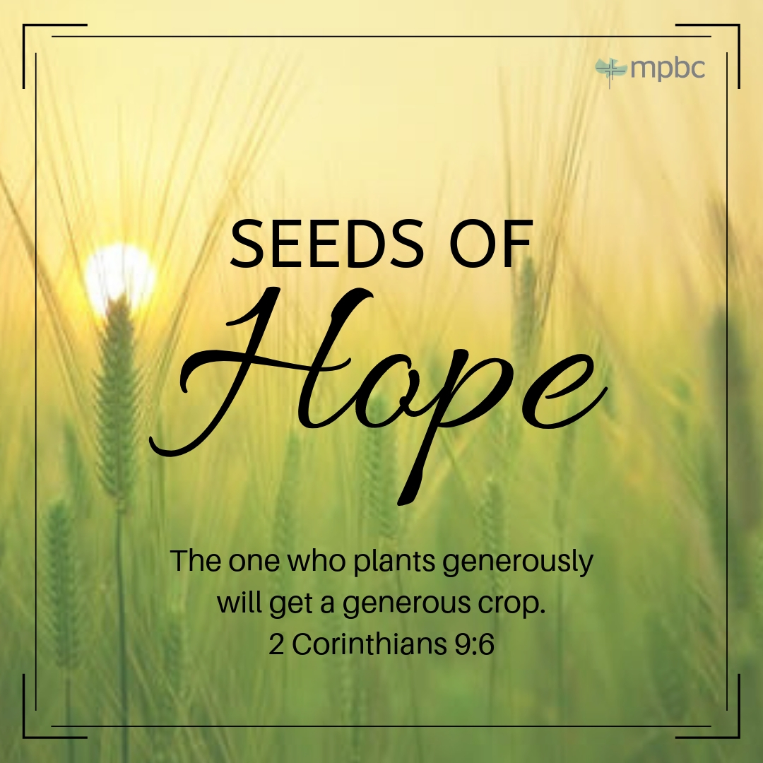 Seeds of Hope Series | March 10-April 21, 2019