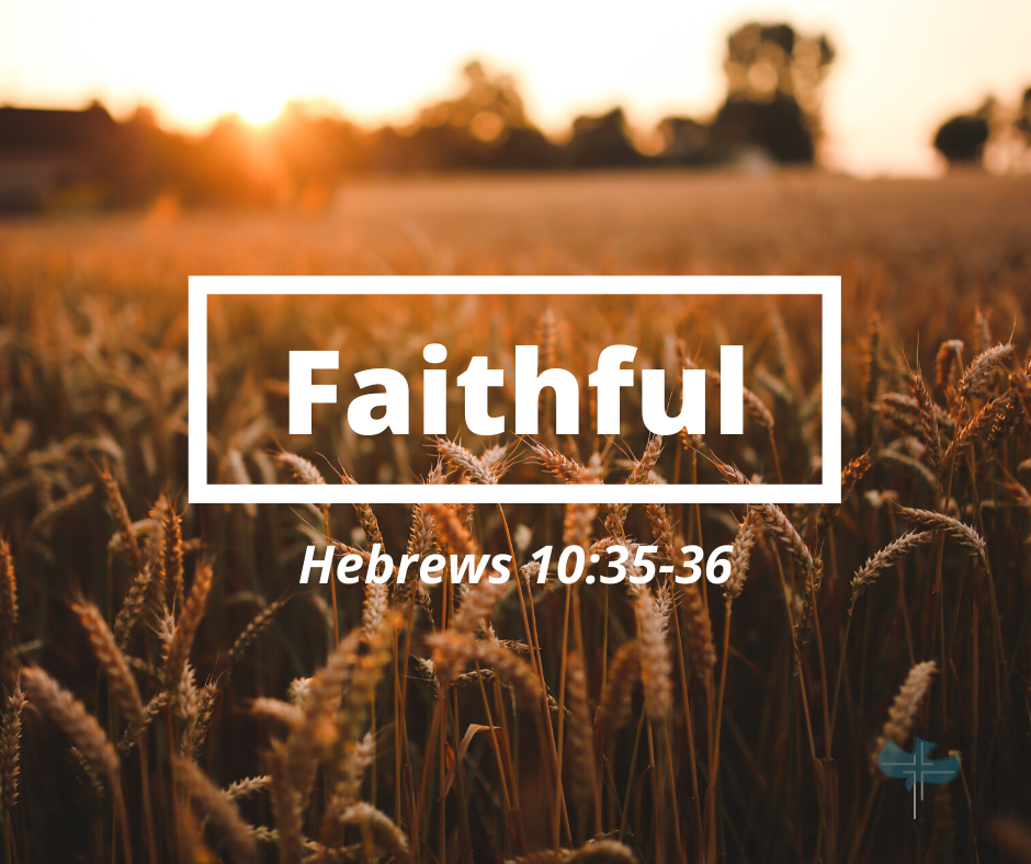 Faithful Series | Nov 10-17, 2019